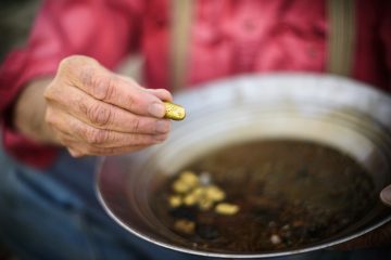 Man holding out golden nugget found from panning for gold.