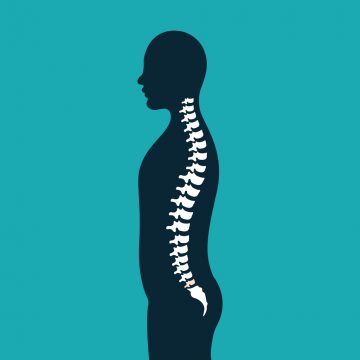 Side view of a silhouette of a person showing the natural curve of the spine