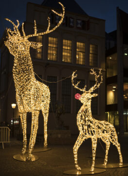 (alt=”Christmas lights; a deer and Rudolph”)