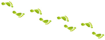 (alt=”diagonal footprints made from green leafs”)