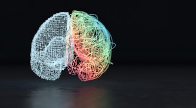 (alt=”3d render of the creative right and analytical left brain hemisphere”)