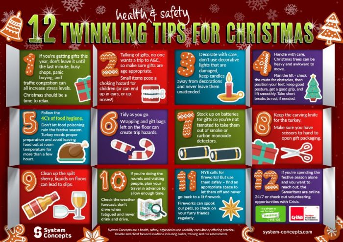 System Concepts 12 Twinkling Health & Safety Tips For Christmas