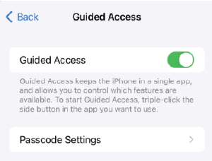 Apple iOS Guided Access screengrab