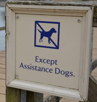 Sign by a lake walkway - "No dogs except assistance dogs permitted"